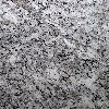 Silver Reale Granite