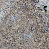 African Ivory Granite