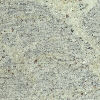 Kashmir White